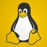 jdk17升级系列- classpath下的jar包读取顺序
